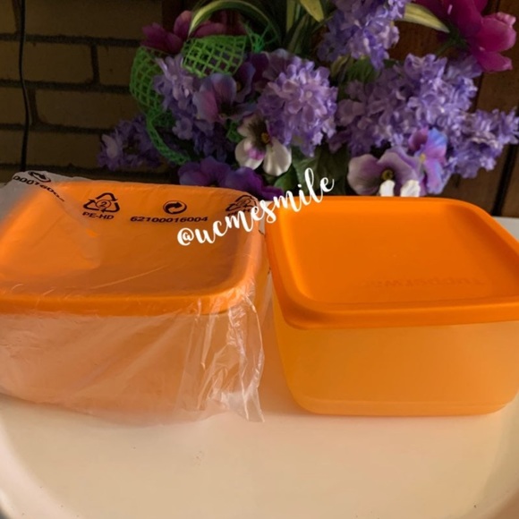 Tupperware Square Rounds Freeze It Container Set - Picture 1 of 5